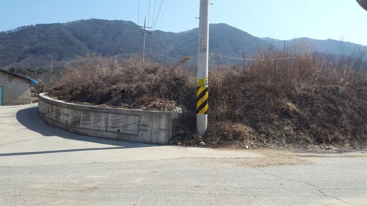 �Ա������� ���� ���
