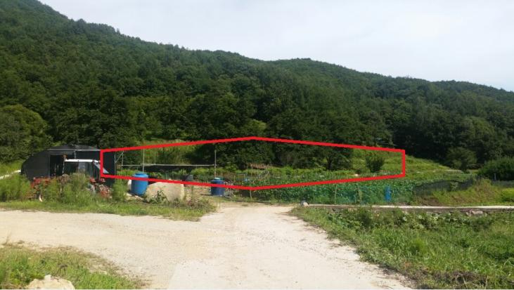 �Ա������� �������