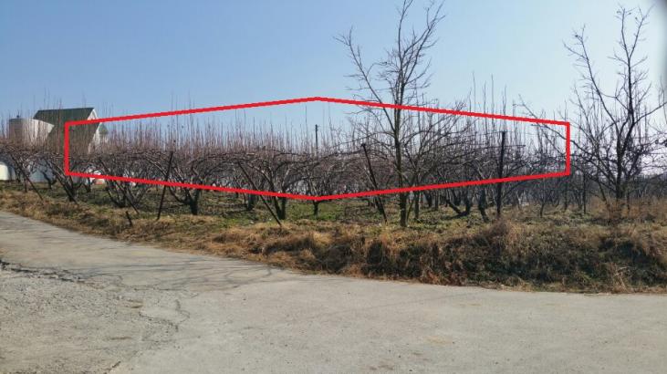 �Ա������� ���� ���ø��