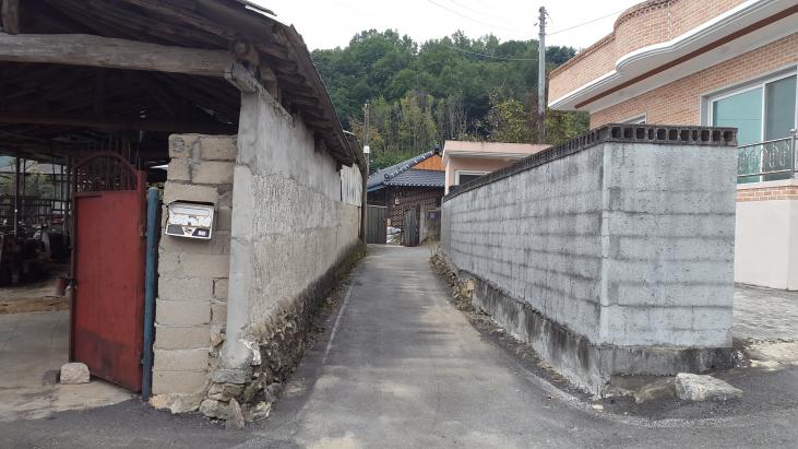���� ���� ���� ���