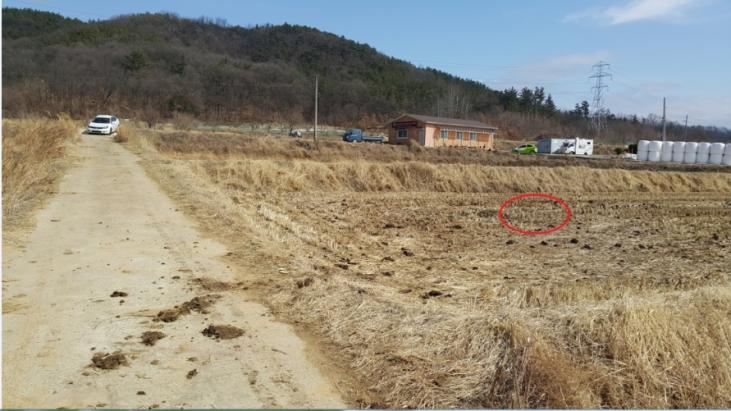 ���Ե��ο��� �� ���� ���