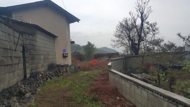 �Ա������� ���� ���
