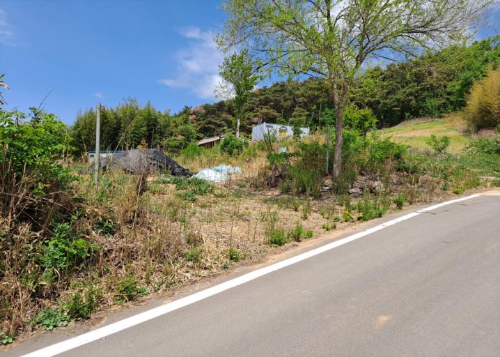 �Ա������� ������ ������ȣ�� ���������� 