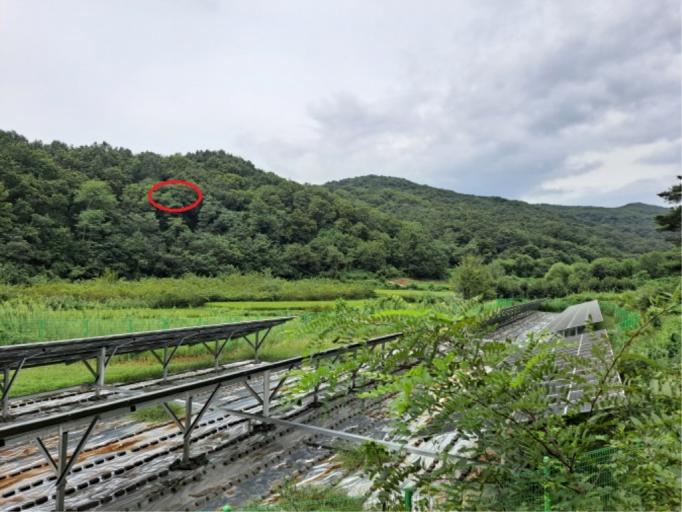 �ָ�����  �Ӿ� ���