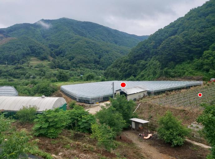 ���θӽ��� �Ͽ콺����������