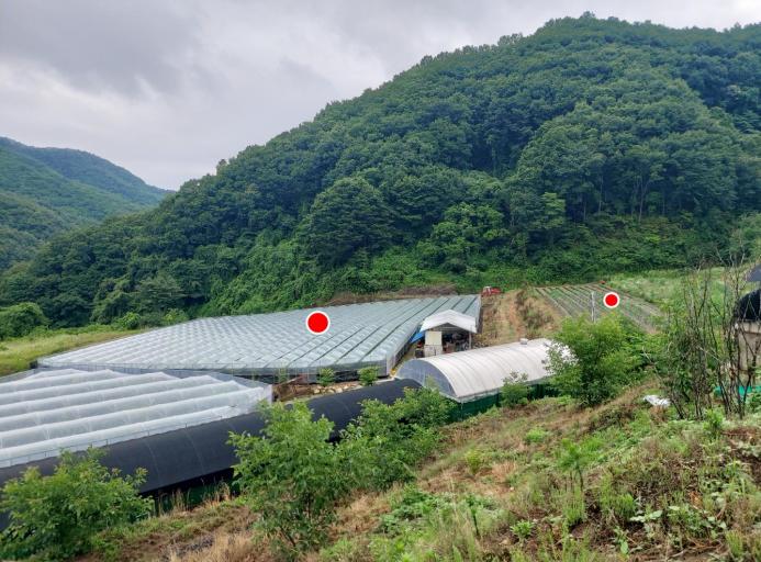���θӽ��� �Ͽ콺����������