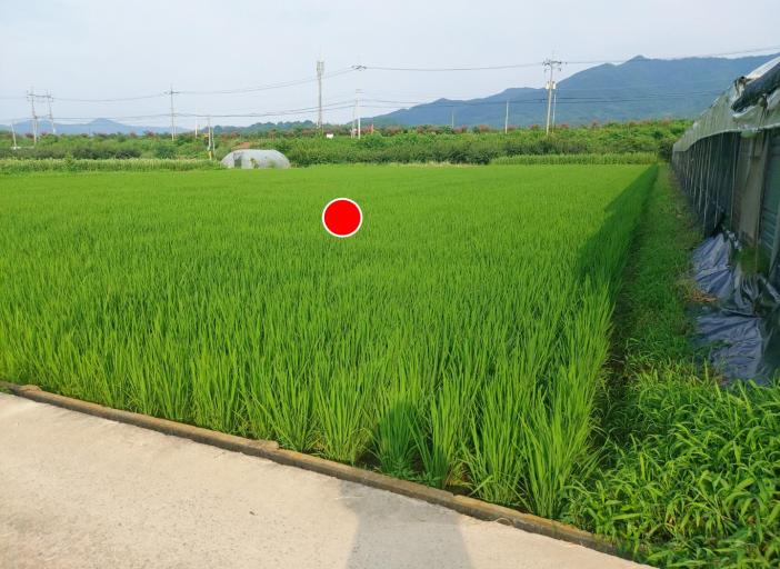 ������ �ö󰡴±濡�� �ߺ��̴���ġ