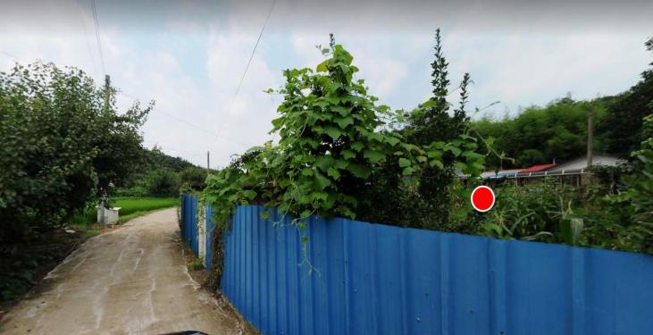 ���Ե��ο����� ����
