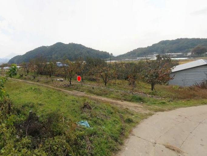 �Ա������� ���� ���