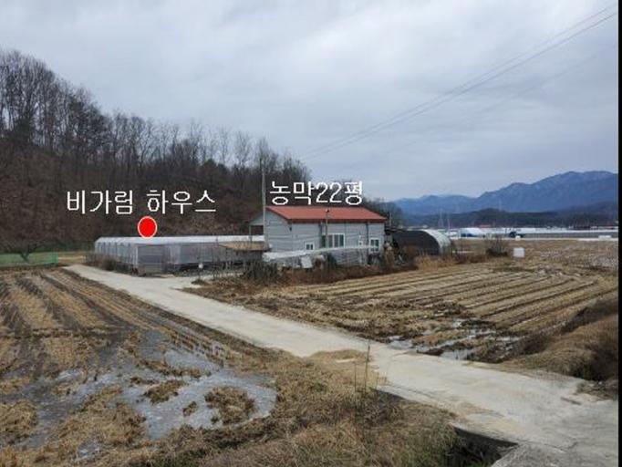 523번 매물보기 / 김천감천금송리포도밭및농막