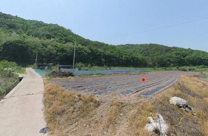 �Ա������� ���� ���