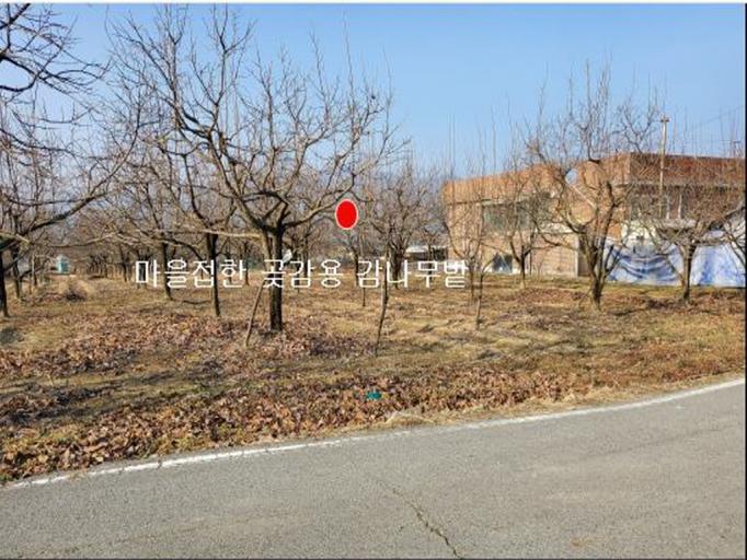 531�� �Ź����� / ���̹����鸶�����Ѱ�������