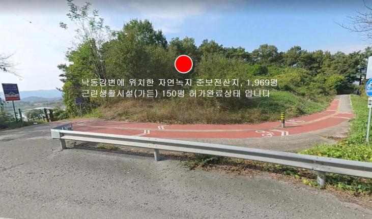 1100�� �Ź����� / �뱸�޼��������鳫��������