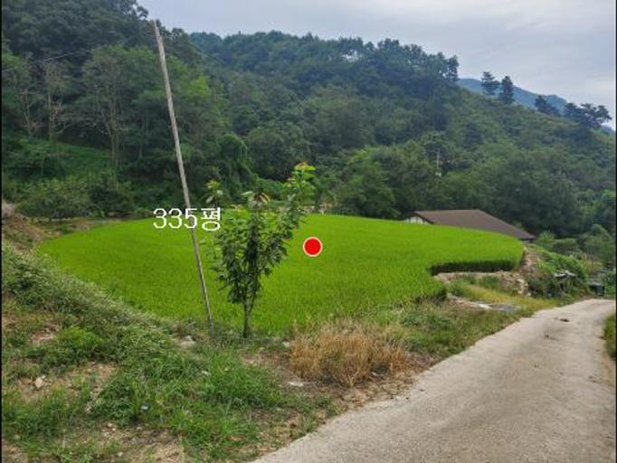 34�� �Ź����� / ���̹����鹫�����������