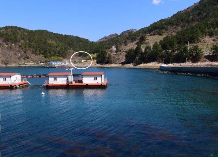 1419�� �Ź����� / �뿵�緮��ٴ尡����������