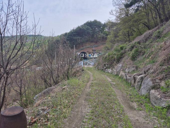 ���ο����� �빮���