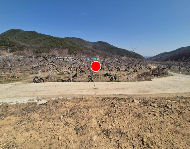 �Ա������� �������
