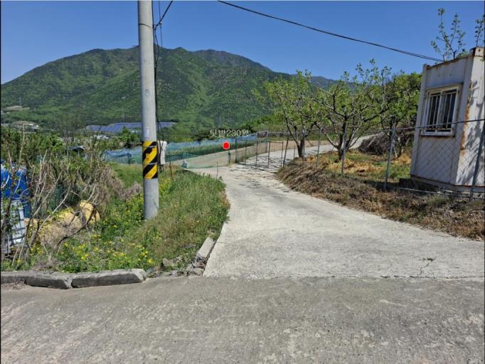 �Ա������� ���� ���