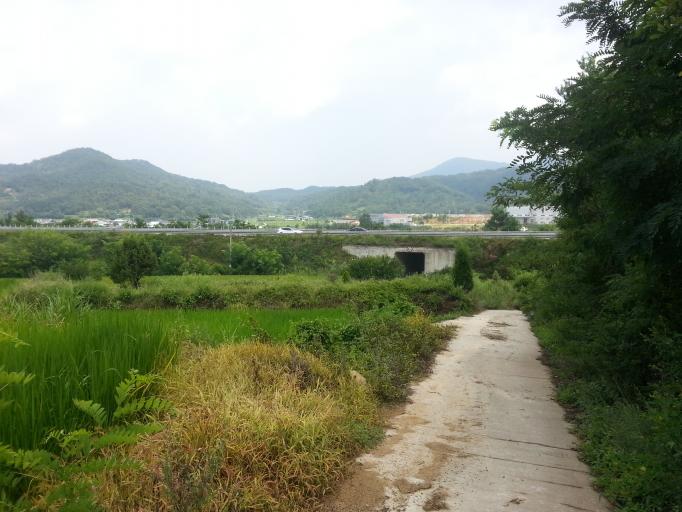 ������ 25�� �ڵ������뵵��