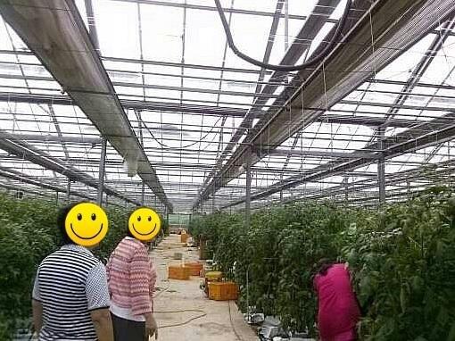 �����½� ���θ��