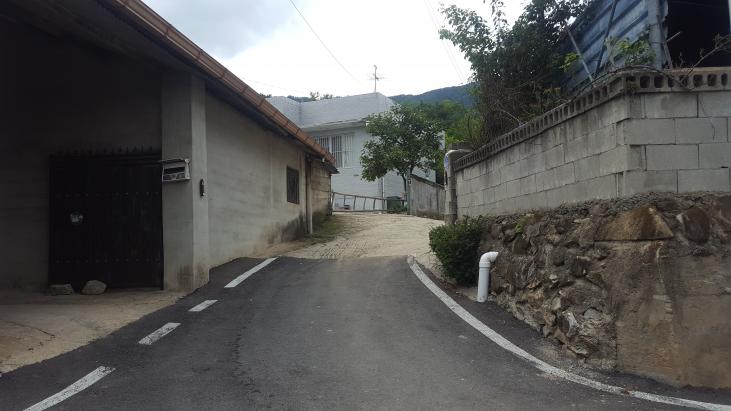 �����Ա� ���θ��