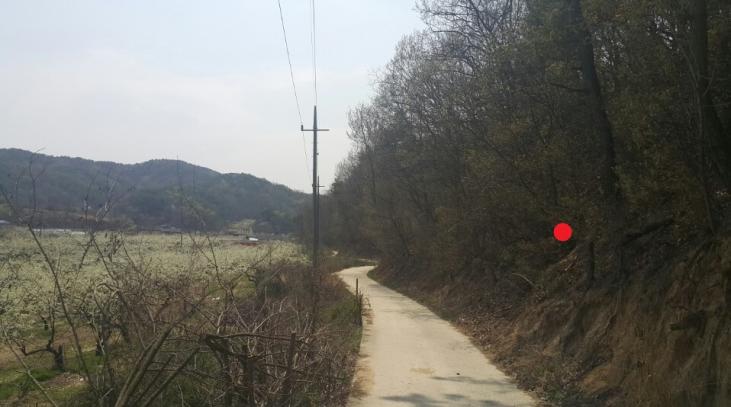 ���׿��� �����ϴ� ���Ե��θ��