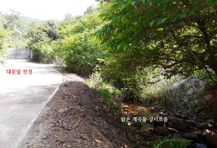 �����Ա� �빮�� �����