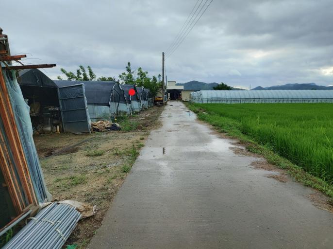 849�� �Ź����� / �������굿�Ͽ����819��