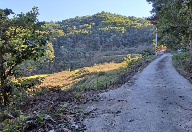 �Ա������� ����� ���� ���