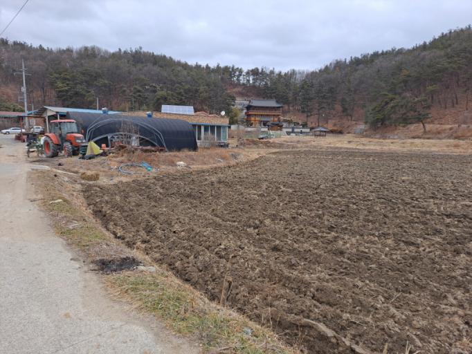 �Ա������� ���� ���