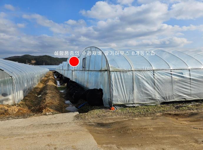 �Ͽ콺 8������ �ܺθ��