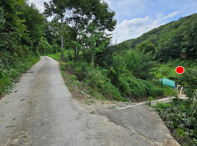 �ֵ��ο��� �������� ��������