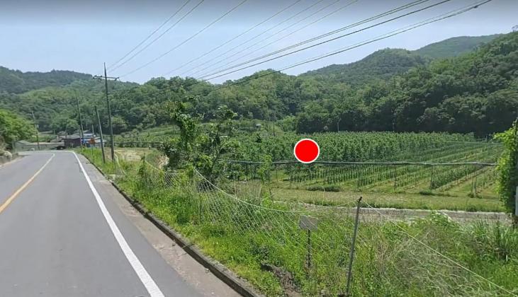 1691�� �Ź����� / �Ǽ�����õ���屹�������Ÿ�