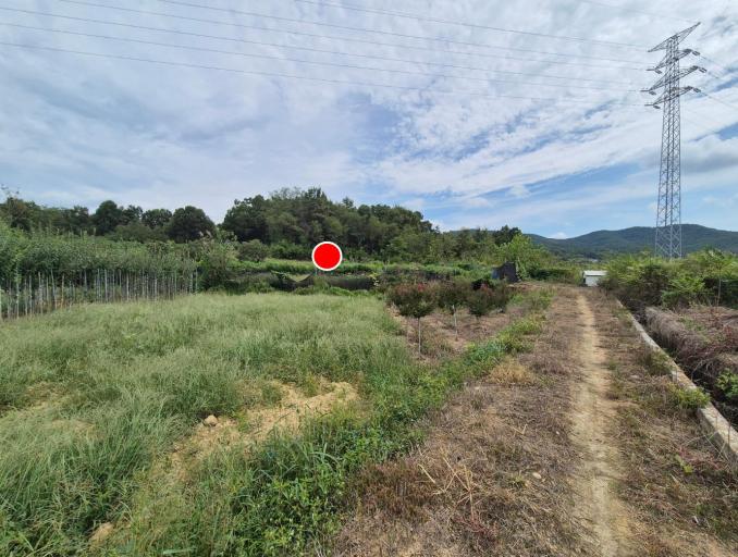 2206�� �Ź����� / ���̻굿����õ�������Ÿ�