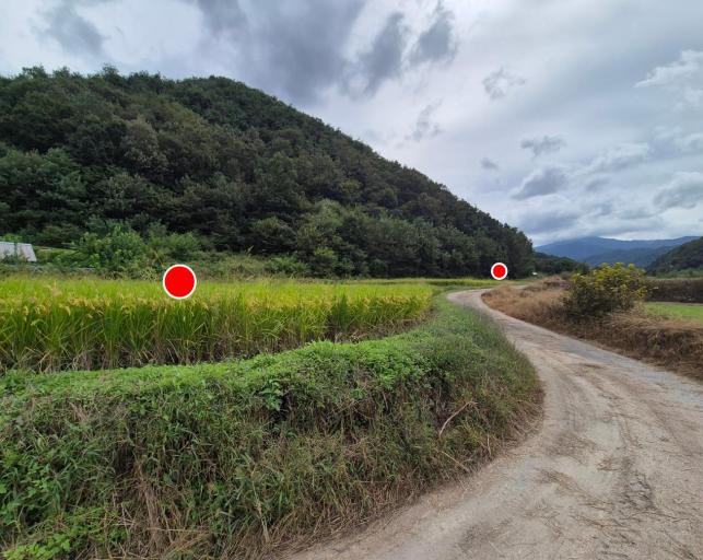 535�� �Ź����� / ��õ����鸶��������������