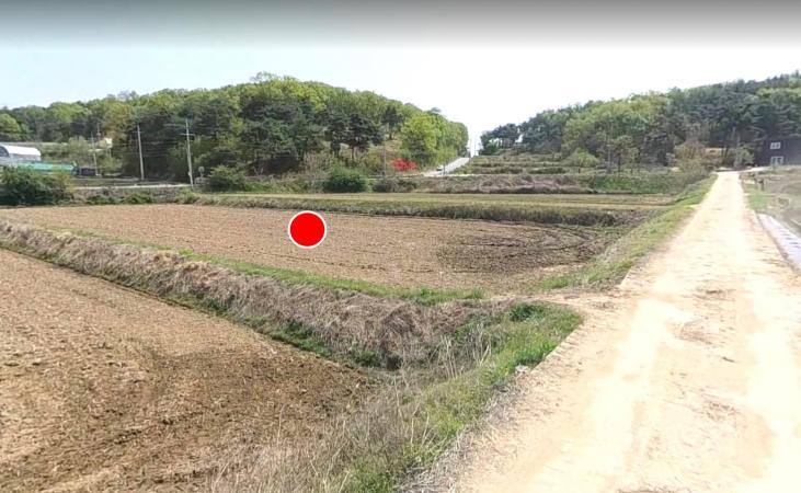 2331�� �Ź����� / ���̽õ����鰡�긮����
