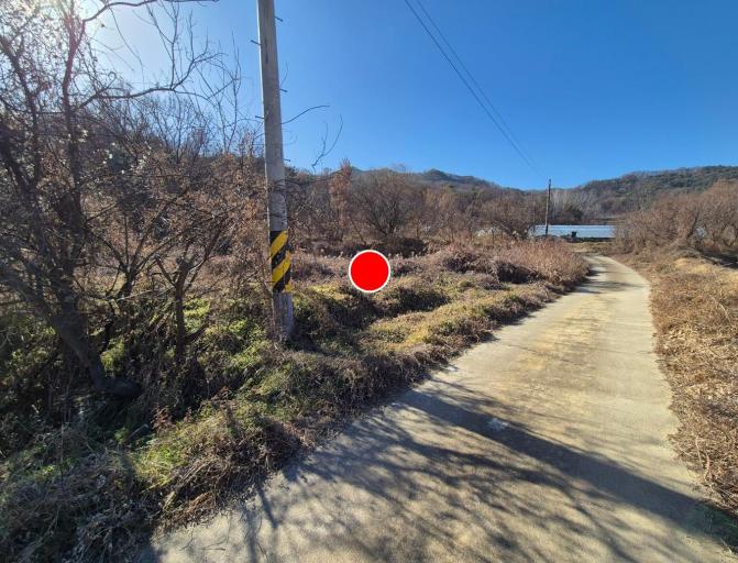 2411�� �Ź����� / ĥ����鰢�긮�ָ�������