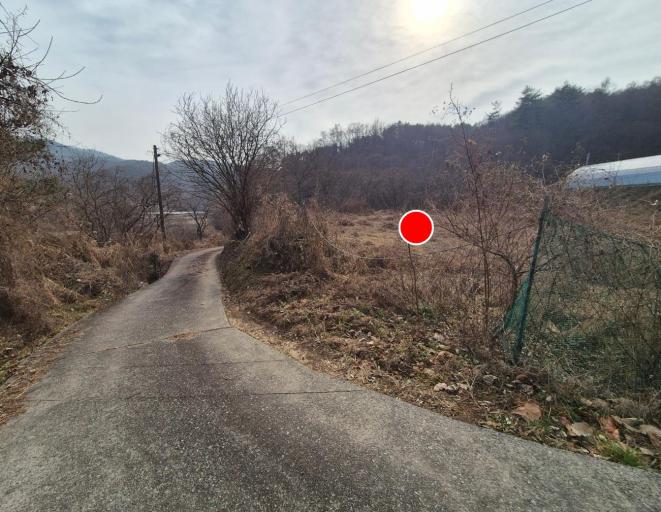 2424�� �Ź����� / ��õ�����ʸ��������ܵ�����