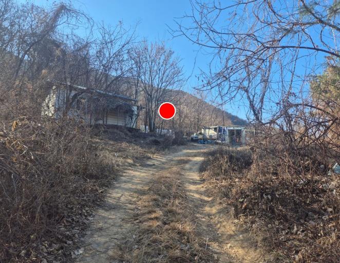 20�� �Ź����� / ���̽ŵ��ܵ����ָ��������