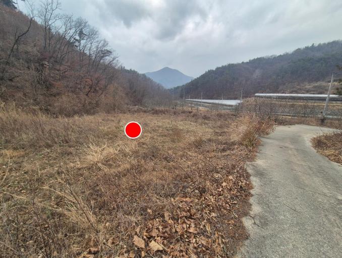 2461�� �Ź����� / ��õ����鱤õ���ܵ�������