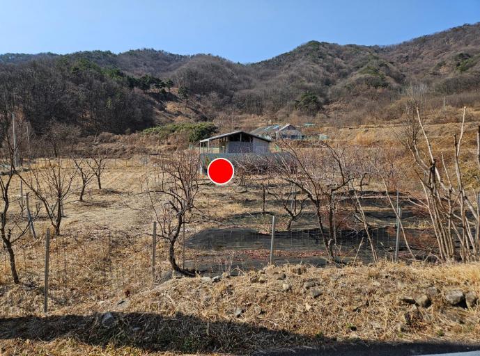 2489�� �Ź����� / ���̹����鹫��������������