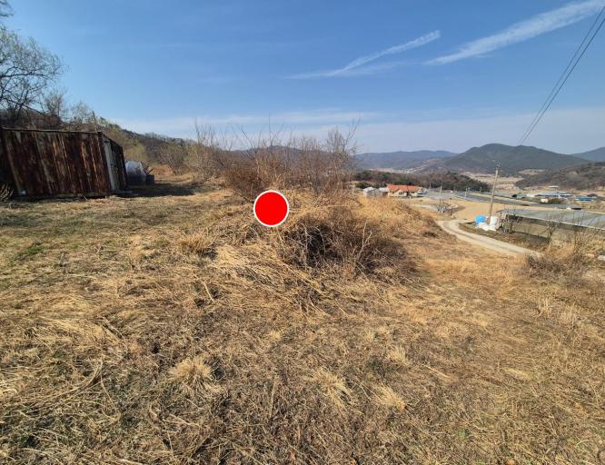 2518�� �Ź����� / ���̹�������ڸ�����������