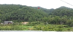 1650���Ź� �ٷΰ���