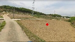 126���Ź� �ٷΰ���
