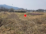 668���Ź� �ٷΰ���