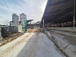 2455���Ź� �ٷΰ���