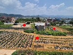 2591���Ź� �ٷΰ���