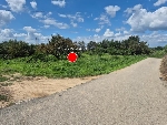 2636���Ź� �ٷΰ���